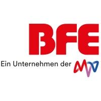 BFE Institut für Energie und Umwelt GmbH